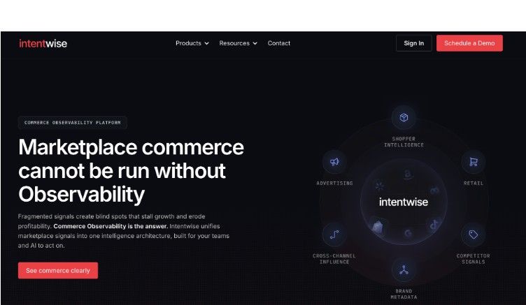 Intentwise Homepage