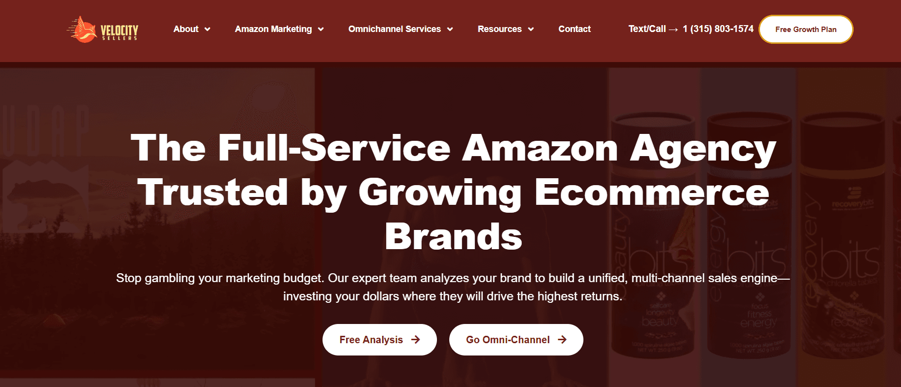 velocity seller homepage.png